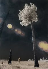 Cloud Cleaning Devices